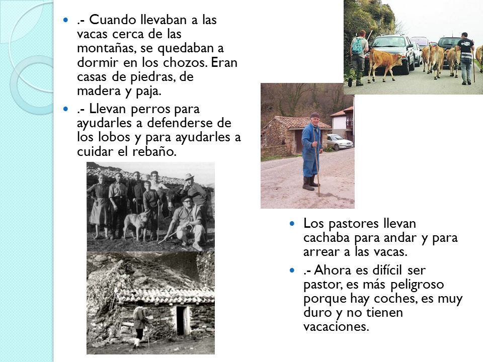 .- Cuando llevaban a las vacas cerca de las montañas, se quedaban a dormir en los chozos. Eran casas de piedras, de madera y paja.
