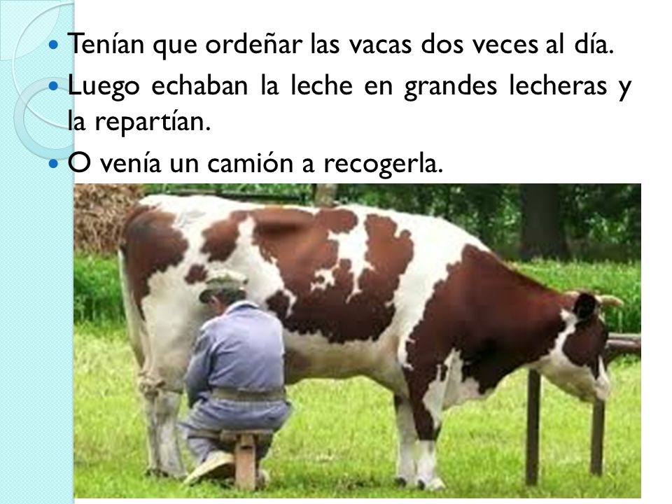 Tenían que ordeñar las vacas dos veces al día.