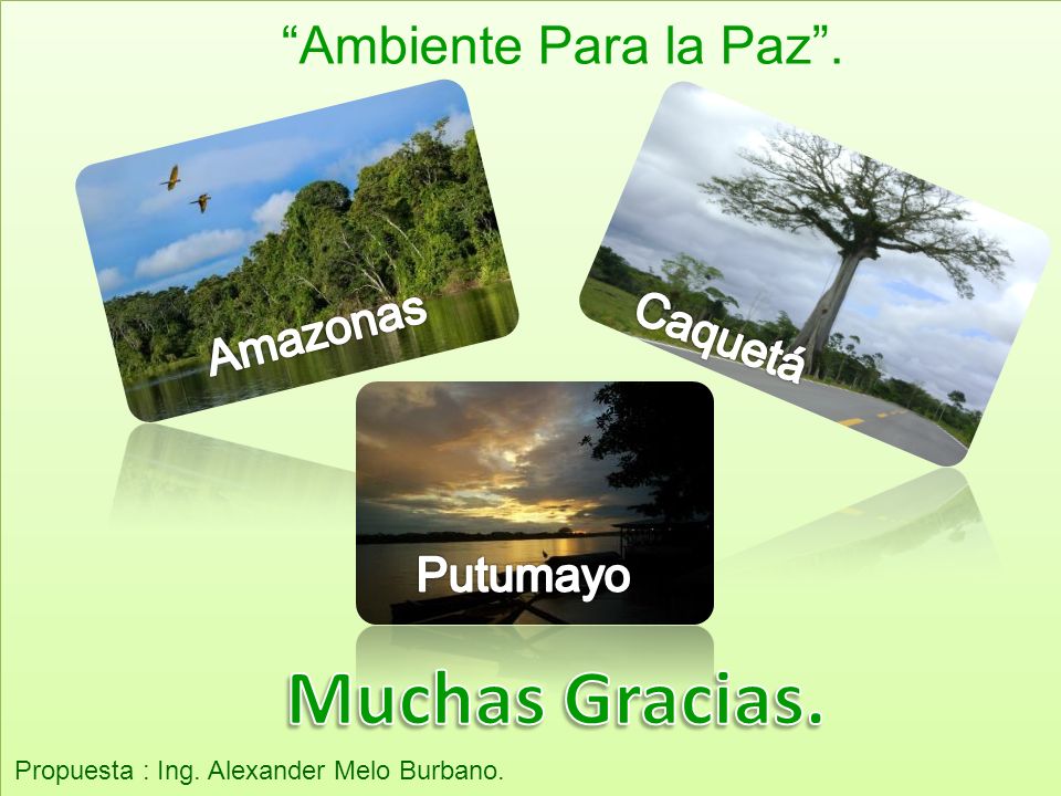 Muchas Gracias. Ambiente Para la Paz . Amazonas Caquetá Putumayo
