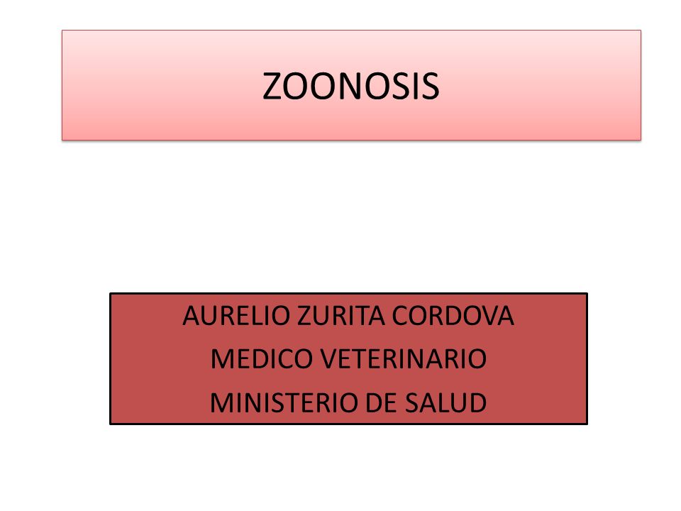 AURELIO ZURITA CORDOVA MEDICO VETERINARIO MINISTERIO DE SALUD