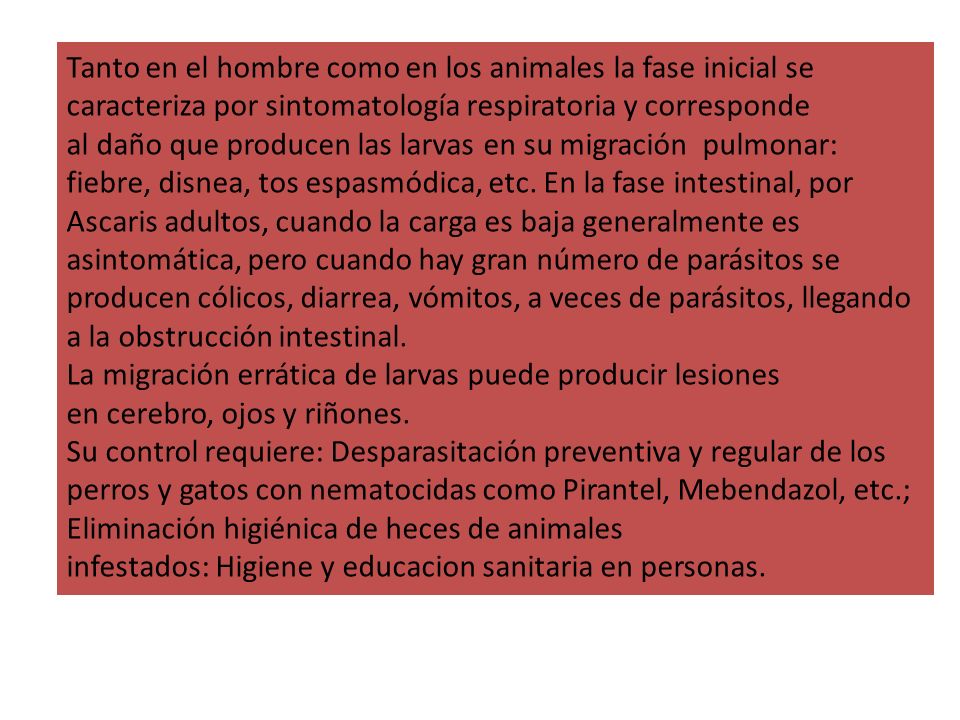 Tanto en el hombre como en los animales la fase inicial se caracteriza por sintomatología respiratoria y corresponde al daño que producen las larvas en su migración pulmonar: fiebre, disnea, tos espasmódica, etc. En la fase intestinal, por Ascaris adultos, cuando la carga es baja generalmente es asintomática, pero cuando hay gran número de parásitos se producen cólicos, diarrea, vómitos, a veces de parásitos, llegando a la obstrucción intestinal.