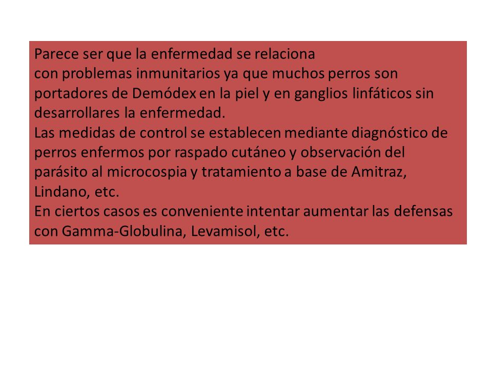 Parece ser que la enfermedad se relaciona con problemas inmunitarios ya que muchos perros son portadores de Demódex en la piel y en ganglios linfáticos sin desarrollares la enfermedad.