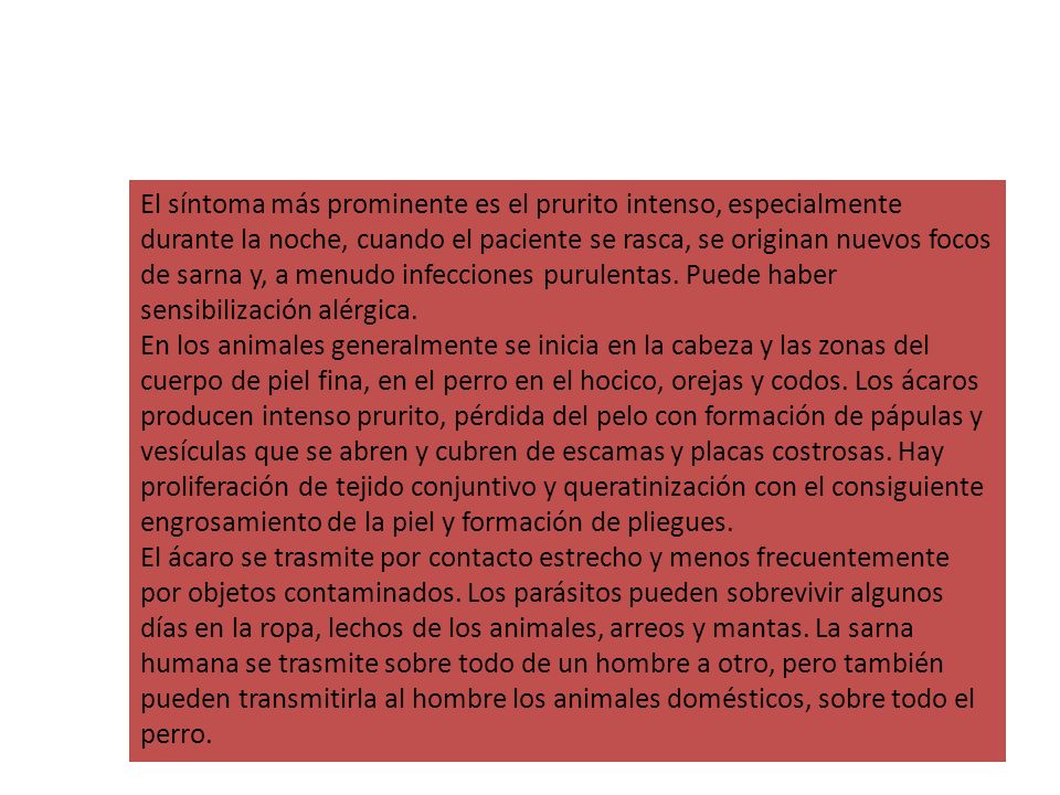 El síntoma más prominente es el prurito intenso, especialmente durante la noche, cuando el paciente se rasca, se originan nuevos focos de sarna y, a menudo infecciones purulentas. Puede haber sensibilización alérgica.