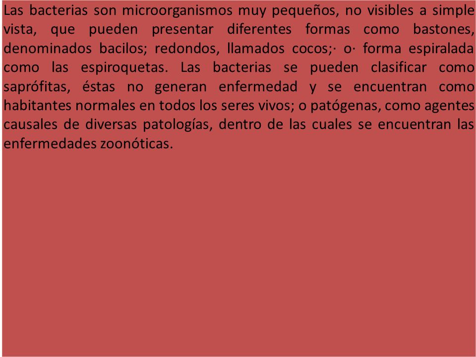 Las bacterias son microorganismos muy pequeños, no visibles a simple vista, que pueden presentar diferentes formas como bastones, denominados bacilos; redondos, llamados cocos;· o· forma espiralada como las espiroquetas.