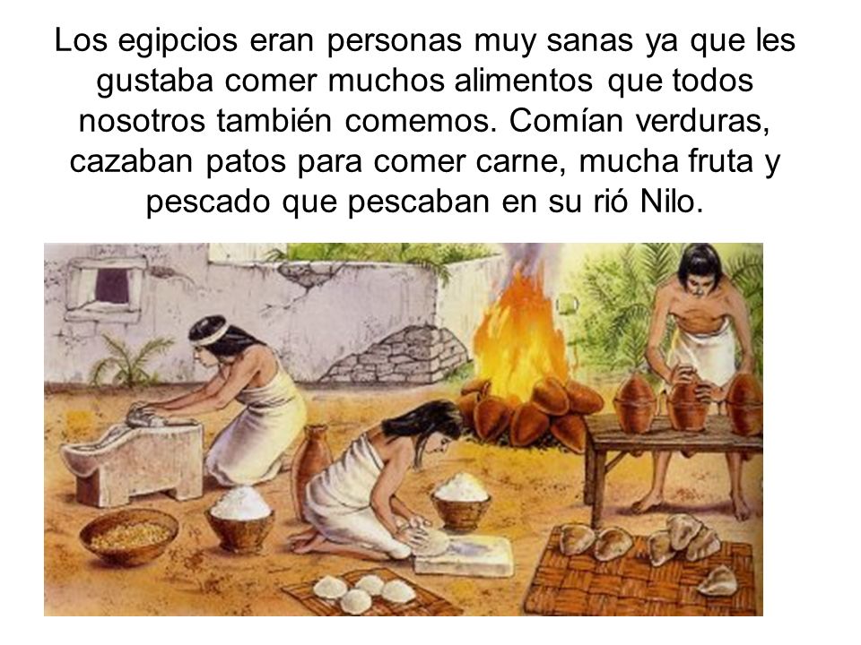 Los egipcios eran personas muy sanas ya que les gustaba comer muchos alimentos que todos nosotros también comemos.