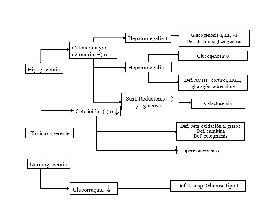    Hepatomegalia Hepatomegalia + + Cetonemia Cetonemia y/o y/o