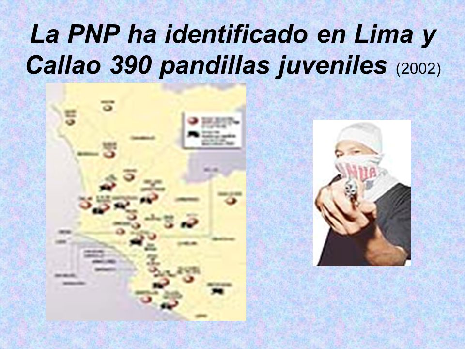 La PNP ha identificado en Lima y Callao 390 pandillas juveniles (2002)