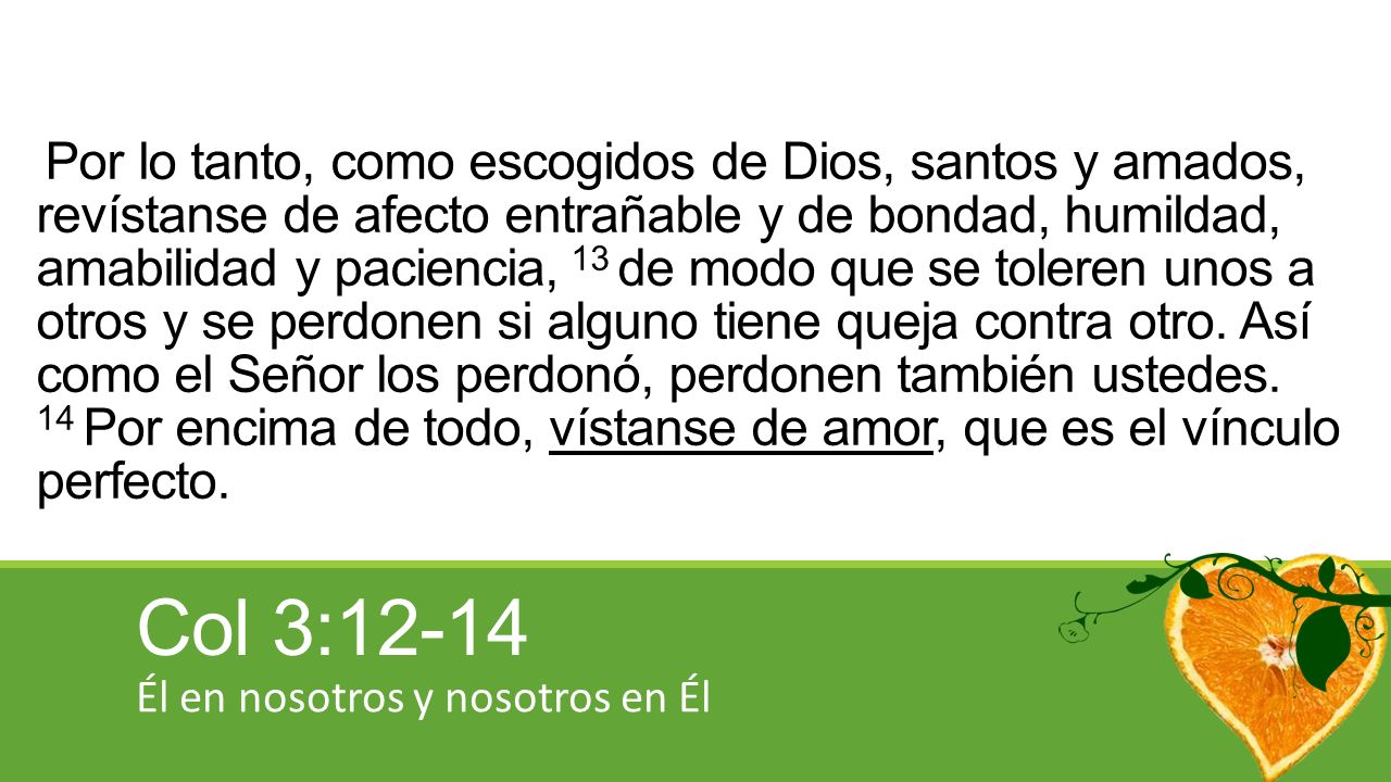 Por lo tanto, como escogidos de Dios, santos y amados, revístanse de afecto entrañable y de bondad, humildad, amabilidad y paciencia, 13 de modo que se toleren unos a otros y se perdonen si alguno tiene queja contra otro. Así como el Señor los perdonó, perdonen también ustedes. 14 Por encima de todo, vístanse de amor, que es el vínculo perfecto.