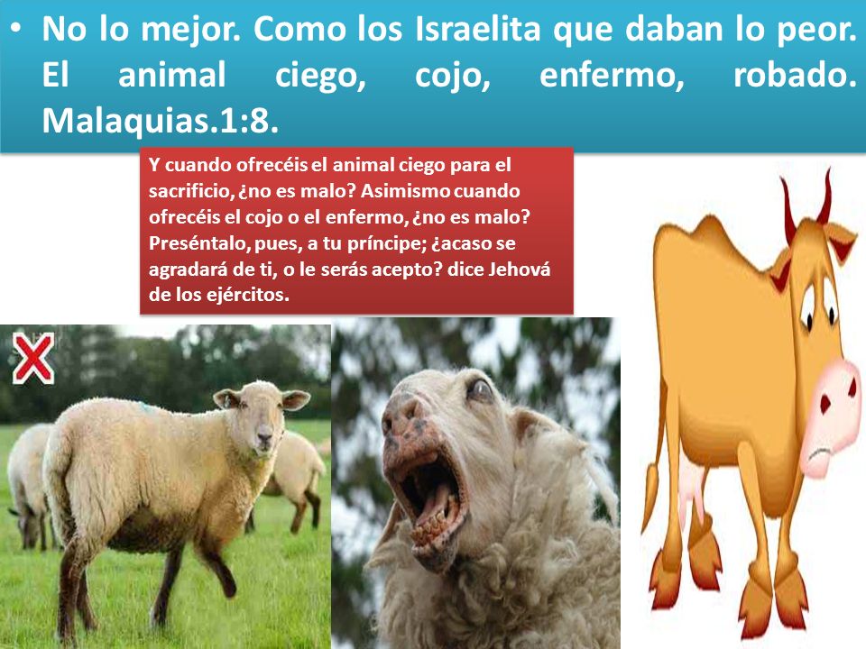 No lo mejor. Como los Israelita que daban lo peor