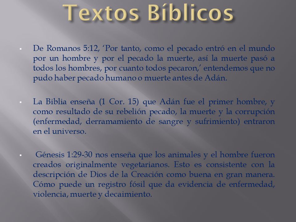 Textos Bíblicos