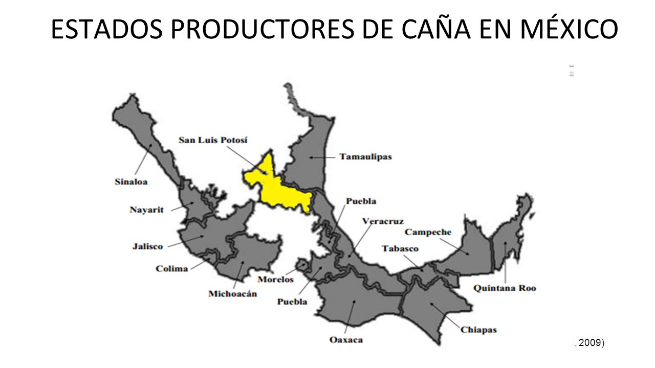 ESTADOS PRODUCTORES DE CAÑA EN MÉXICO