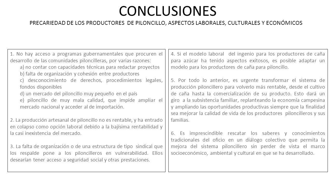 CONCLUSIONES PRECARIEDAD DE LOS PRODUCTORES DE PILONCILLO, ASPECTOS LABORALES, CULTURALES Y ECONÓMICOS