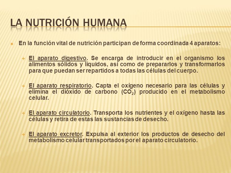 La nutrición humana En la función vital de nutrición participan de forma coordinada 4 aparatos: