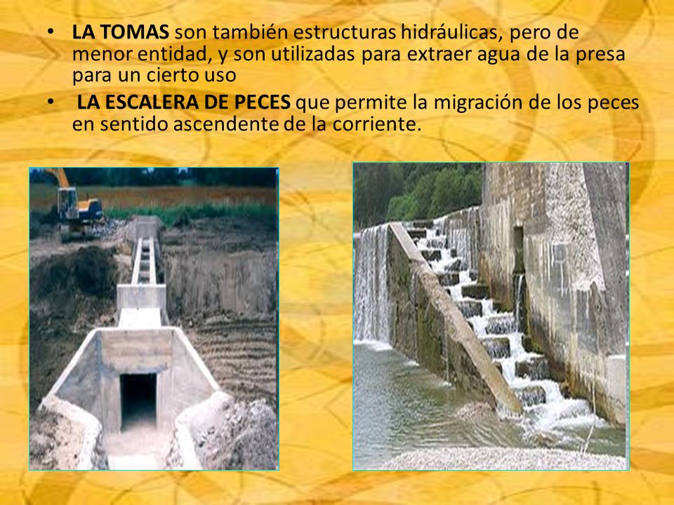 LA TOMAS son también estructuras hidráulicas, pero de menor entidad, y son utilizadas para extraer agua de la presa para un cierto uso
