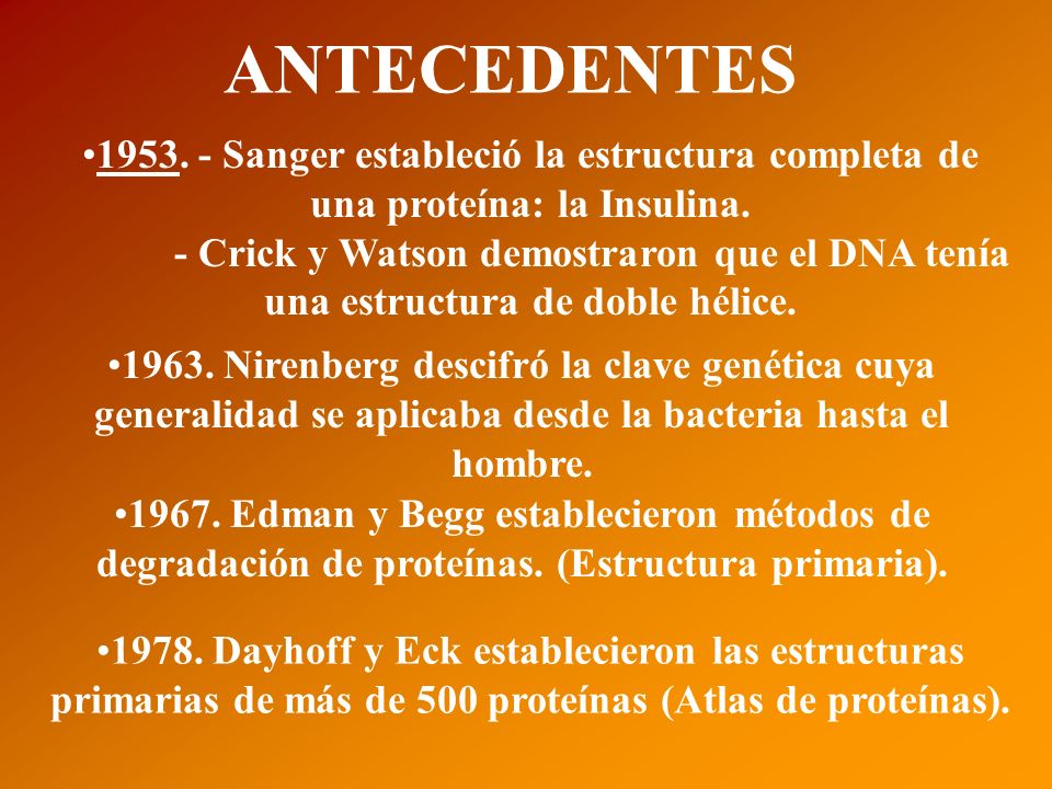 ANTECEDENTES Sanger estableció la estructura completa de una proteína: la Insulina.