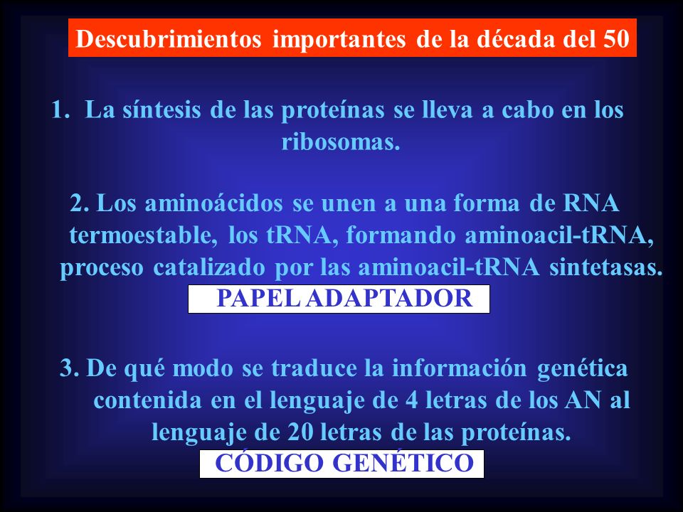 La síntesis de las proteínas se lleva a cabo en los
