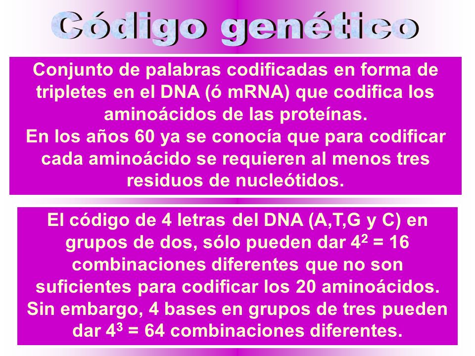 Código genético Conjunto de palabras codificadas en forma de tripletes en el DNA (ó mRNA) que codifica los aminoácidos de las proteínas.