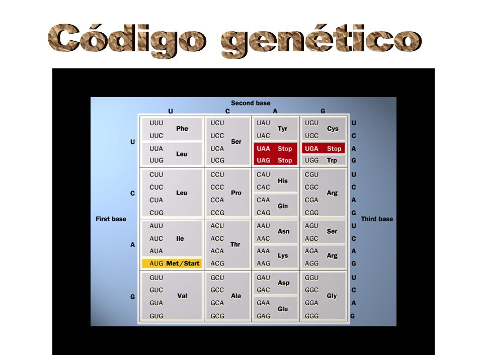 Código genético