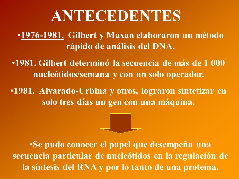 ANTECEDENTES Gilbert y Maxan elaboraron un método rápido de análisis del DNA.