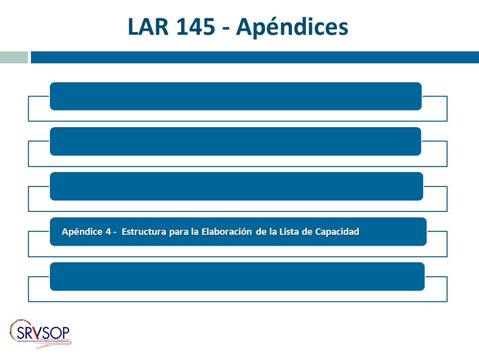 LAR Apéndices Apéndice 4 - Estructura para la Elaboración de la Lista de Capacidad