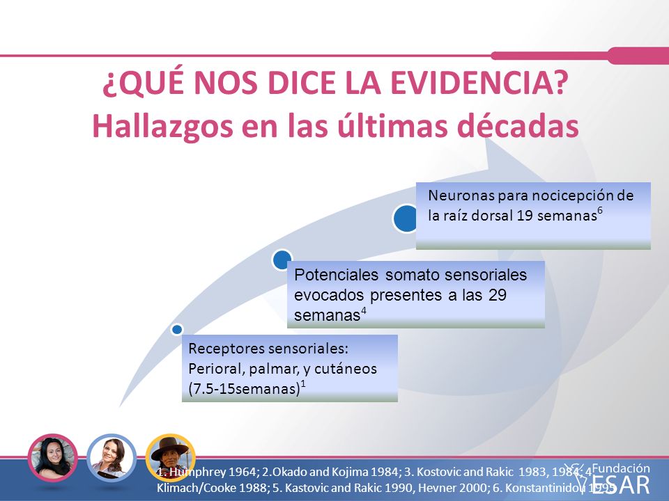 ¿QUÉ NOS DICE LA EVIDENCIA Hallazgos en las últimas décadas