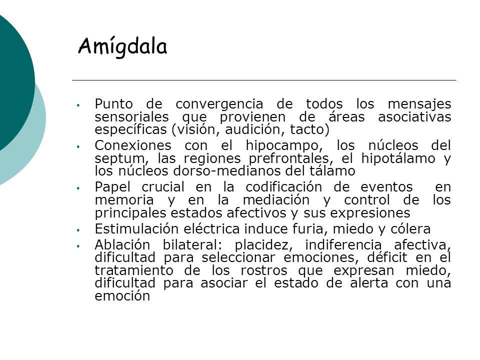 Amígdala Punto de convergencia de todos los mensajes sensoriales que provienen de áreas asociativas específicas (visión, audición, tacto)