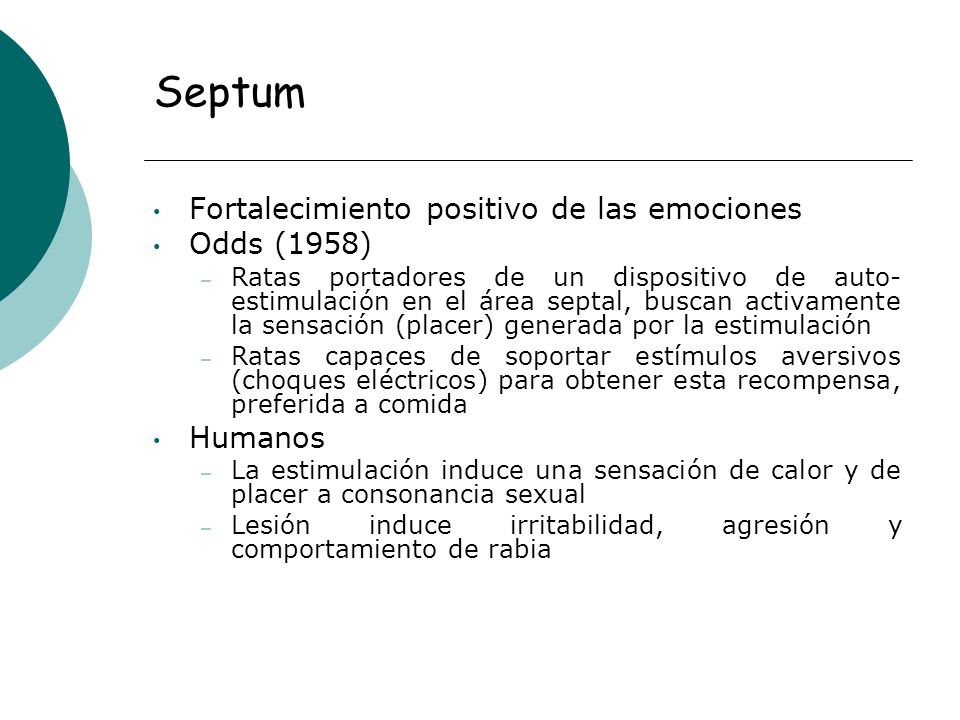 Septum Fortalecimiento positivo de las emociones Odds (1958) Humanos