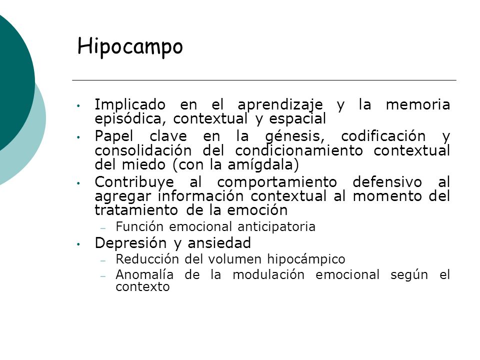 Hipocampo Implicado en el aprendizaje y la memoria episódica, contextual y espacial.