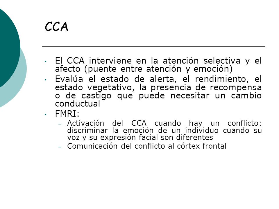 CCA El CCA interviene en la atención selectiva y el afecto (puente entre atención y emoción)