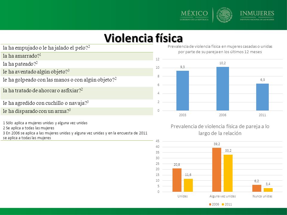 Violencia física la ha empujado o le ha jalado el pelo 2