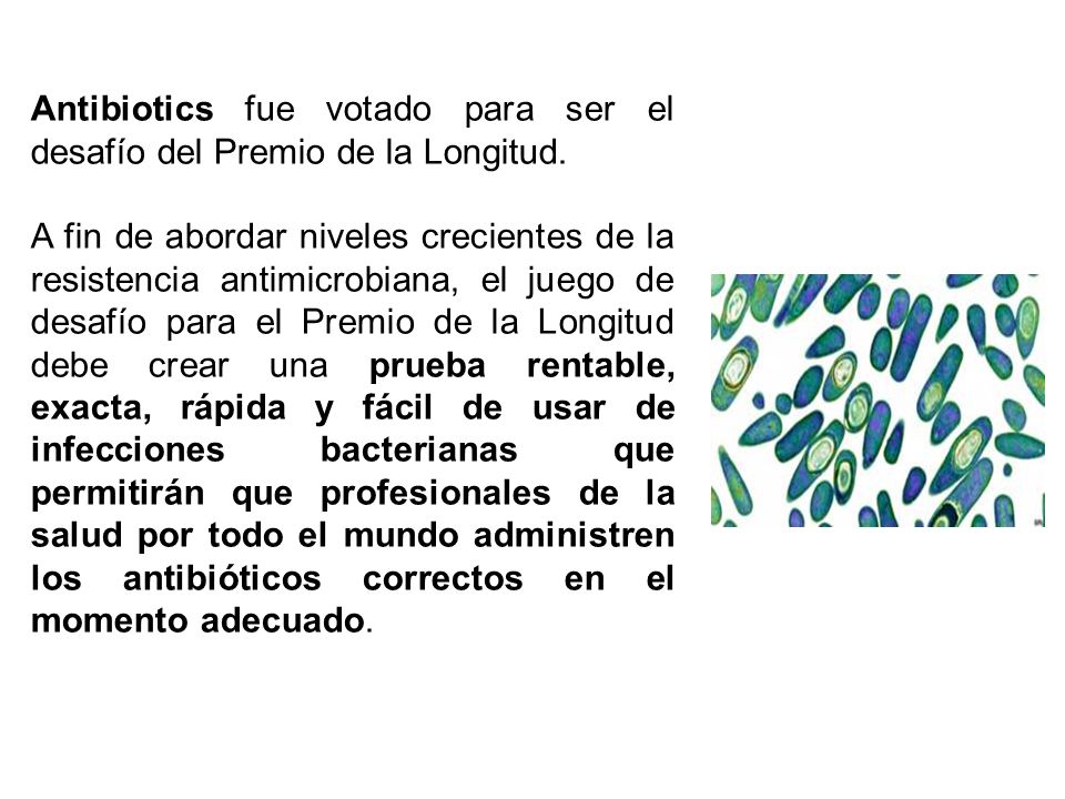Antibiotics fue votado para ser el desafío del Premio de la Longitud.