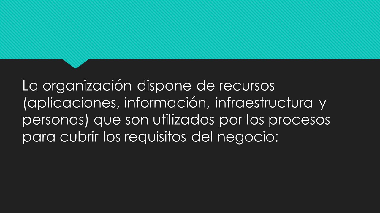La organización dispone de recursos (aplicaciones, información, infraestructura y personas) que son utilizados por los procesos para cubrir los requisitos del negocio:
