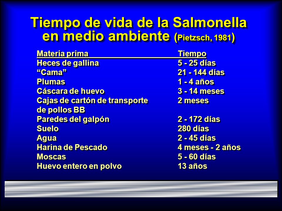 Tiempo de vida de la Salmonella en medio ambiente (Pietzsch, 1981)