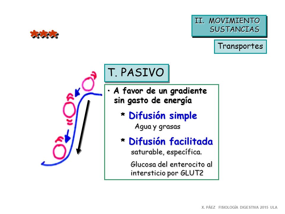 *** T. PASIVO Transportes A favor de un gradiente sin gasto de energía