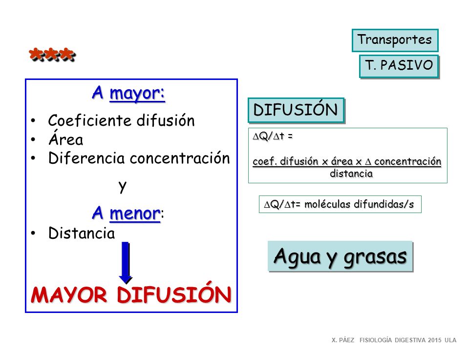 *** MAYOR DIFUSIÓN Agua y grasas A mayor: A menor: