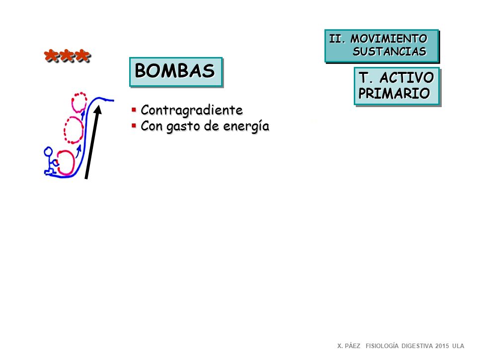 *** BOMBAS T. ACTIVO PRIMARIO Contragradiente Con gasto de energía