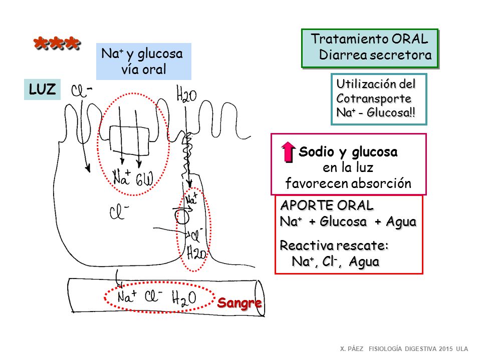 *** Tratamiento ORAL Diarrea secretora Na+ y glucosa vía oral LUZ