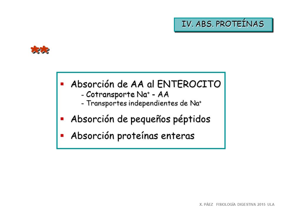 ** Absorción de AA al ENTEROCITO Absorción de pequeños péptidos