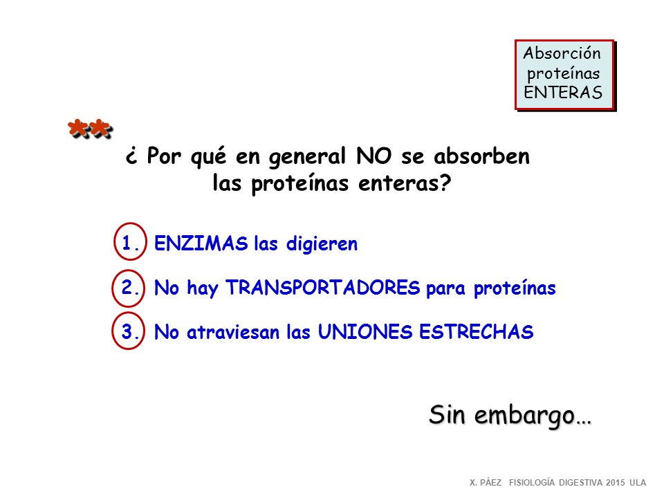 ¿ Por qué en general NO se absorben
