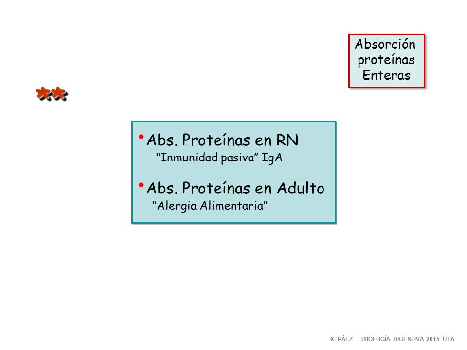 ** Abs. Proteínas en RN Abs. Proteínas en Adulto Absorción proteínas