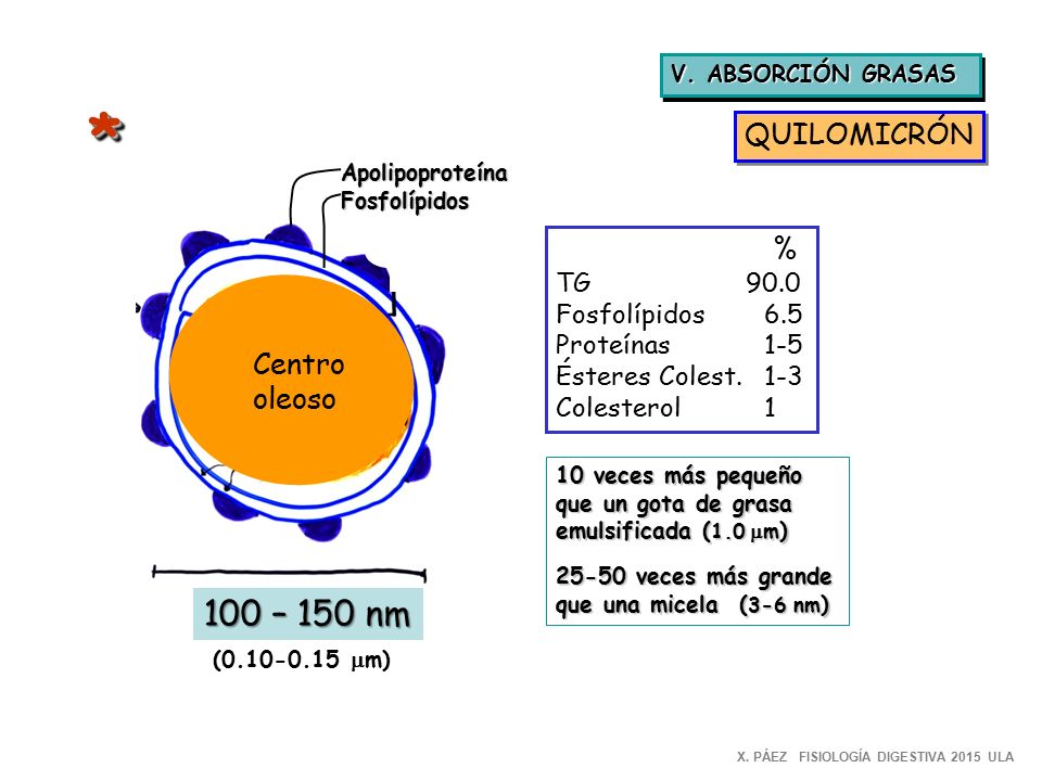 * 100 – 150 nm QUILOMICRÓN % Centro oleoso TG 90.0 Fosfolípidos 6.5