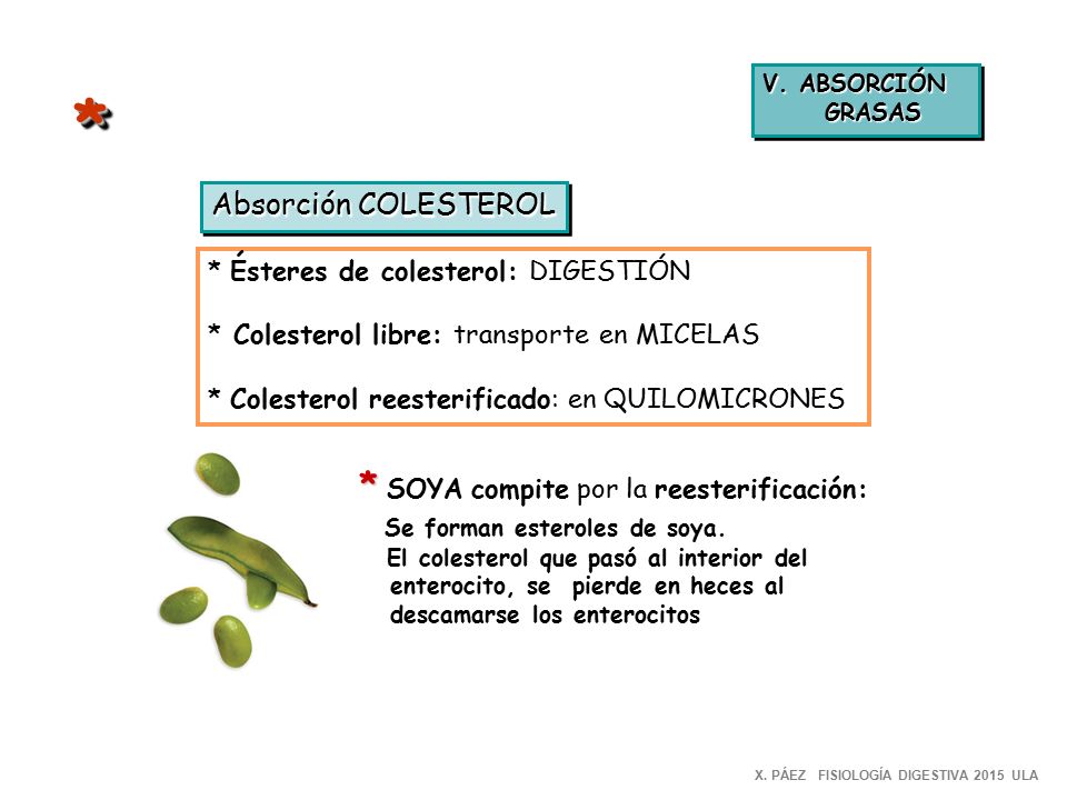 * * SOYA compite por la reesterificación: Absorción COLESTEROL