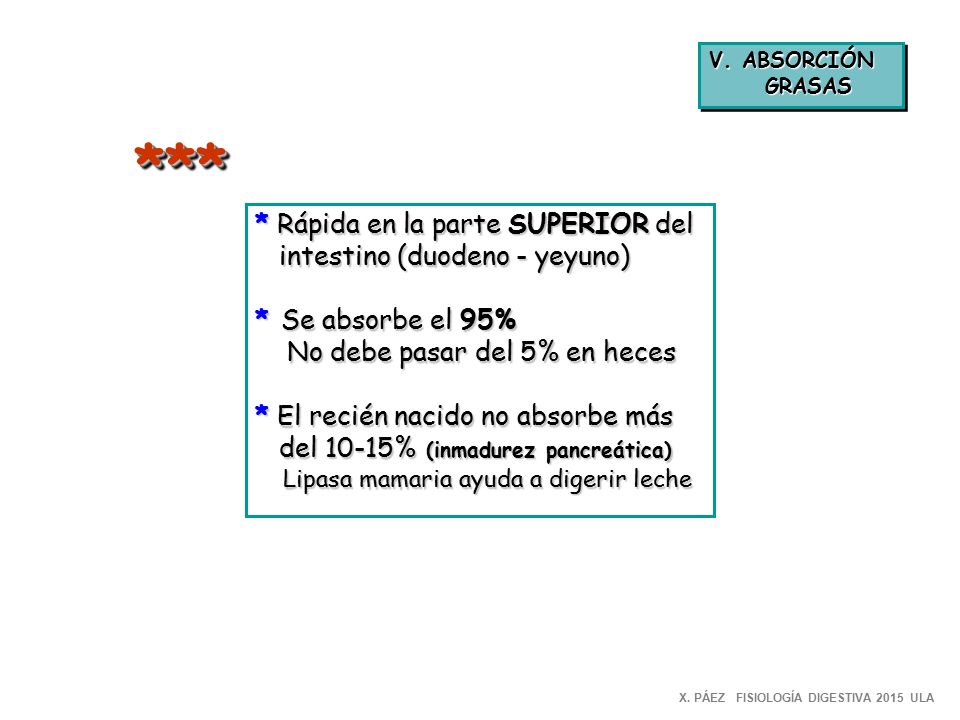 *** * Rápida en la parte SUPERIOR del intestino (duodeno - yeyuno)