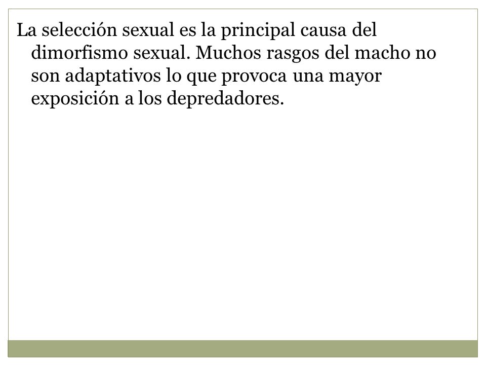 La selección sexual es la principal causa del dimorfismo sexual