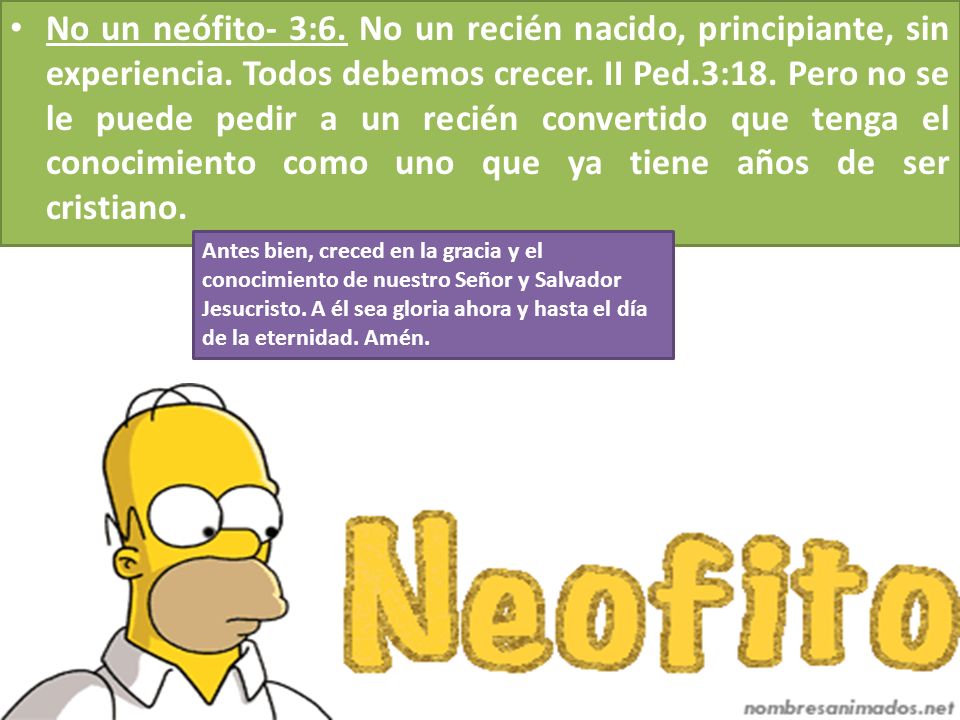 No un neófito- 3:6. No un recién nacido, principiante, sin experiencia