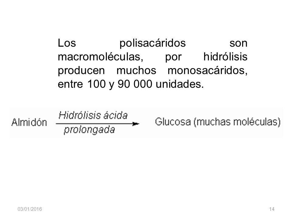 Los polisacáridos son macromoléculas, por hidrólisis producen muchos monosacáridos, entre 100 y unidades.