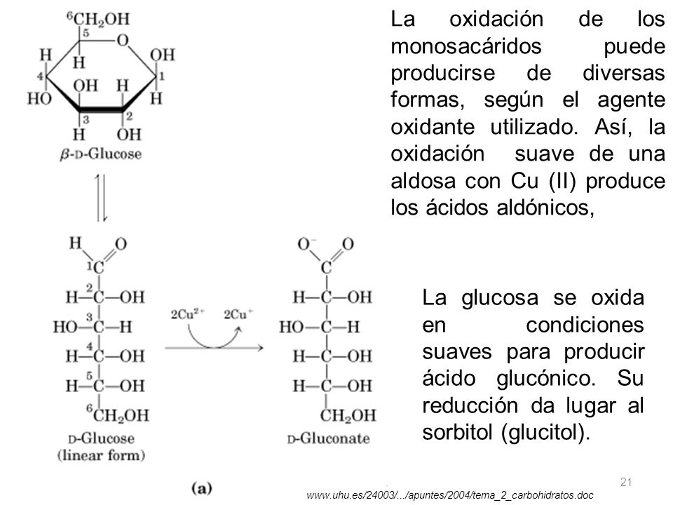 La oxidación de los monosacáridos puede producirse de diversas formas, según el agente oxidante utilizado. Así, la oxidación suave de una aldosa con Cu (II) produce los ácidos aldónicos,