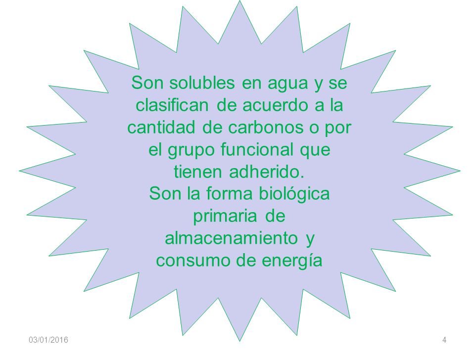 Son la forma biológica primaria de almacenamiento y consumo de energía