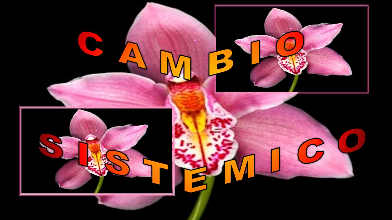 . . C A M B I O S I S T E M I C O .