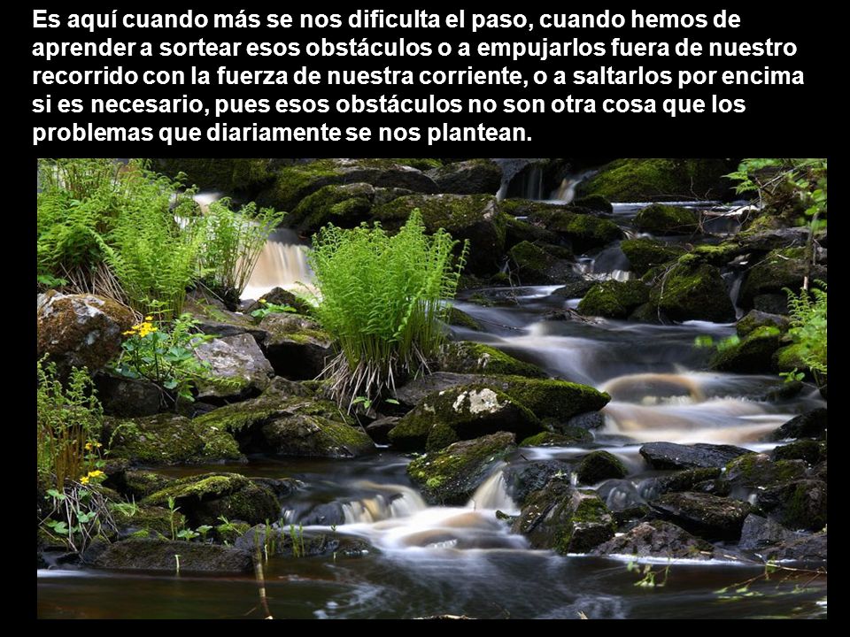 Es aquí cuando más se nos dificulta el paso, cuando hemos de aprender a sortear esos obstáculos o a empujarlos fuera de nuestro recorrido con la fuerza de nuestra corriente, o a saltarlos por encima si es necesario, pues esos obstáculos no son otra cosa que los problemas que diariamente se nos plantean.
